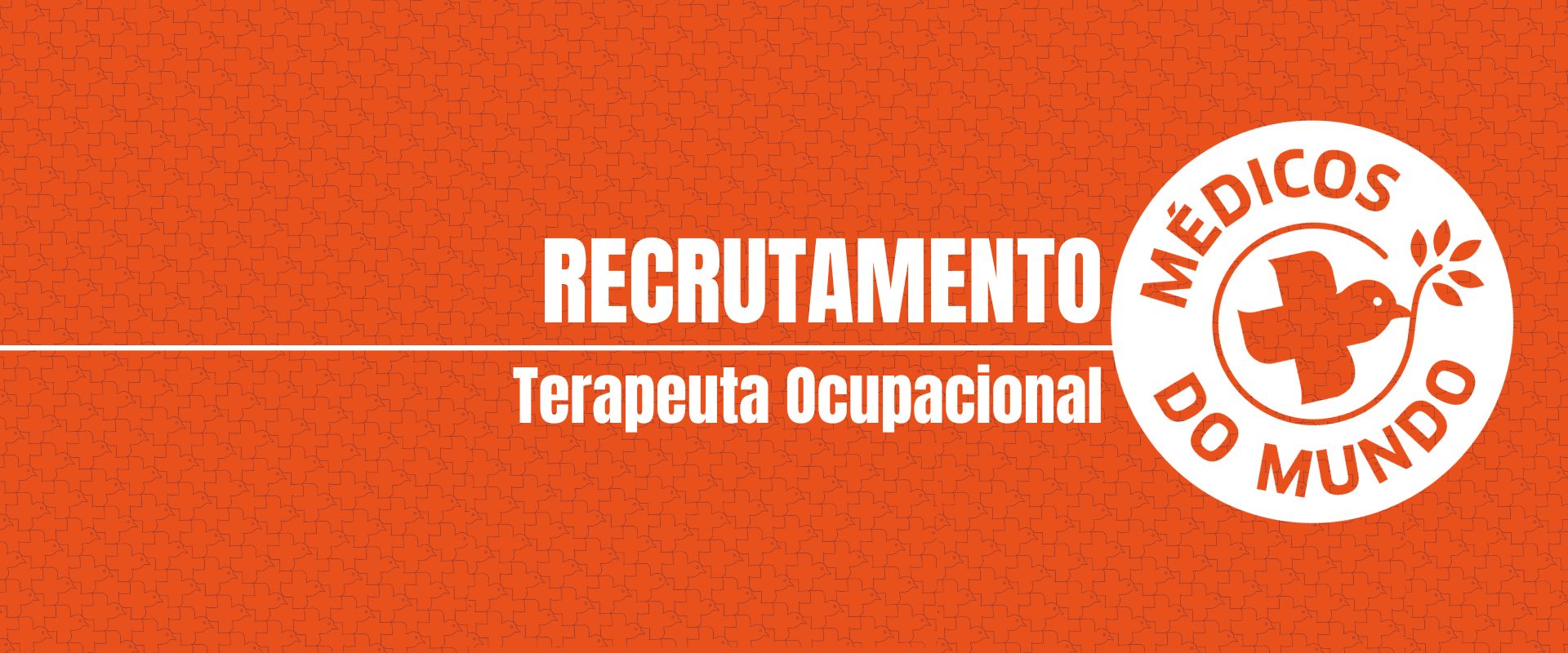 bnn recrutamento