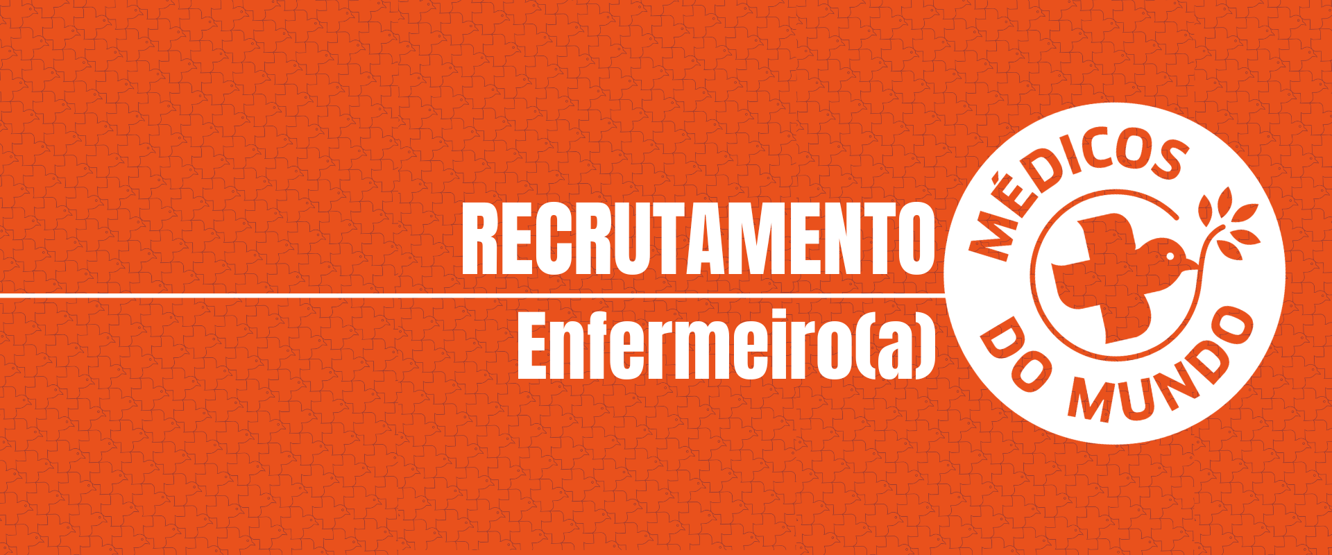 bnn recrutamento