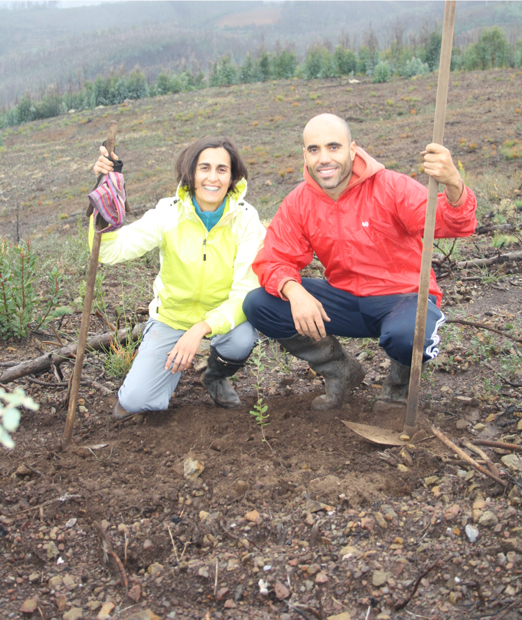 Voluntariado