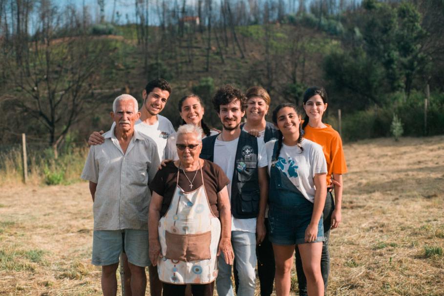 Voluntariado