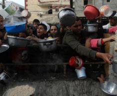 Bnn Gaza