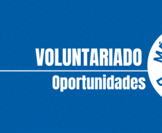 Voluntariado
